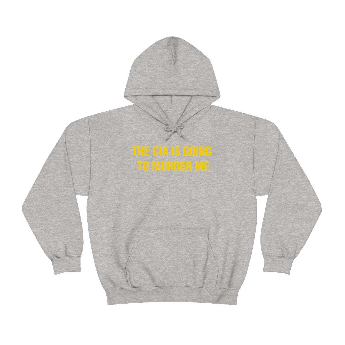 THE CIA IS GOING  TO MURDER ME HOODIE