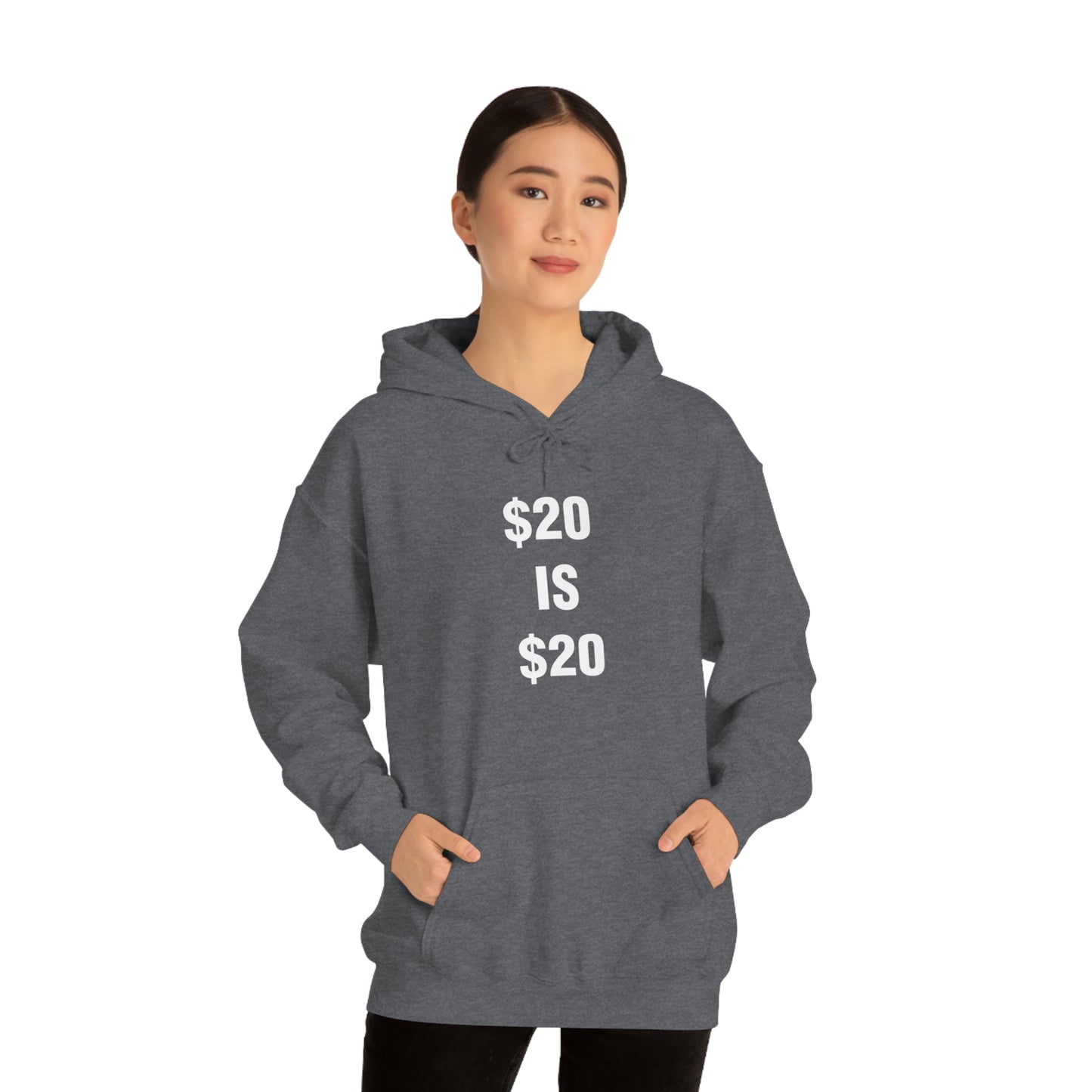 $20 IS $20 HOODIE