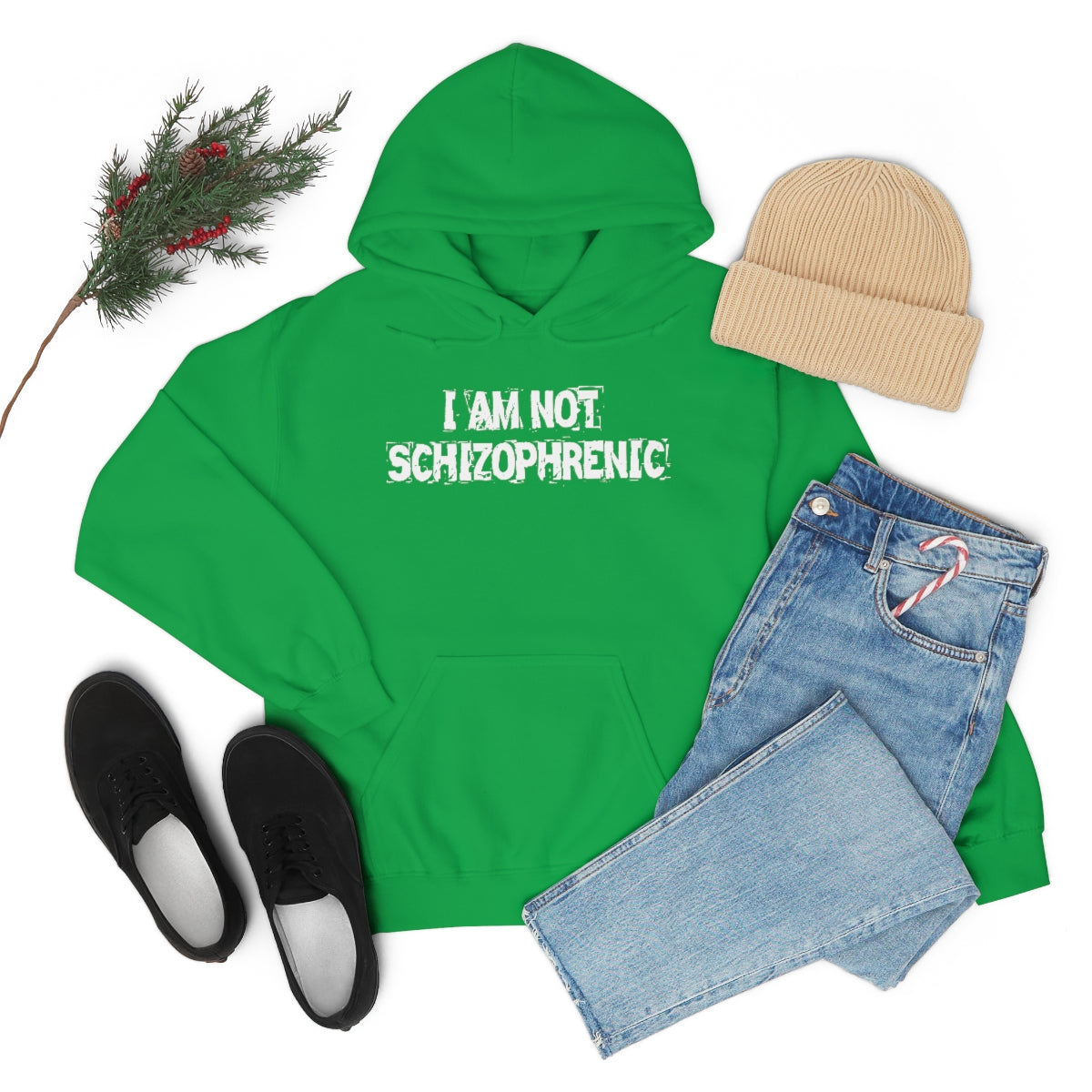 I AM NOT SCHIZOPHRENIC HOODIE