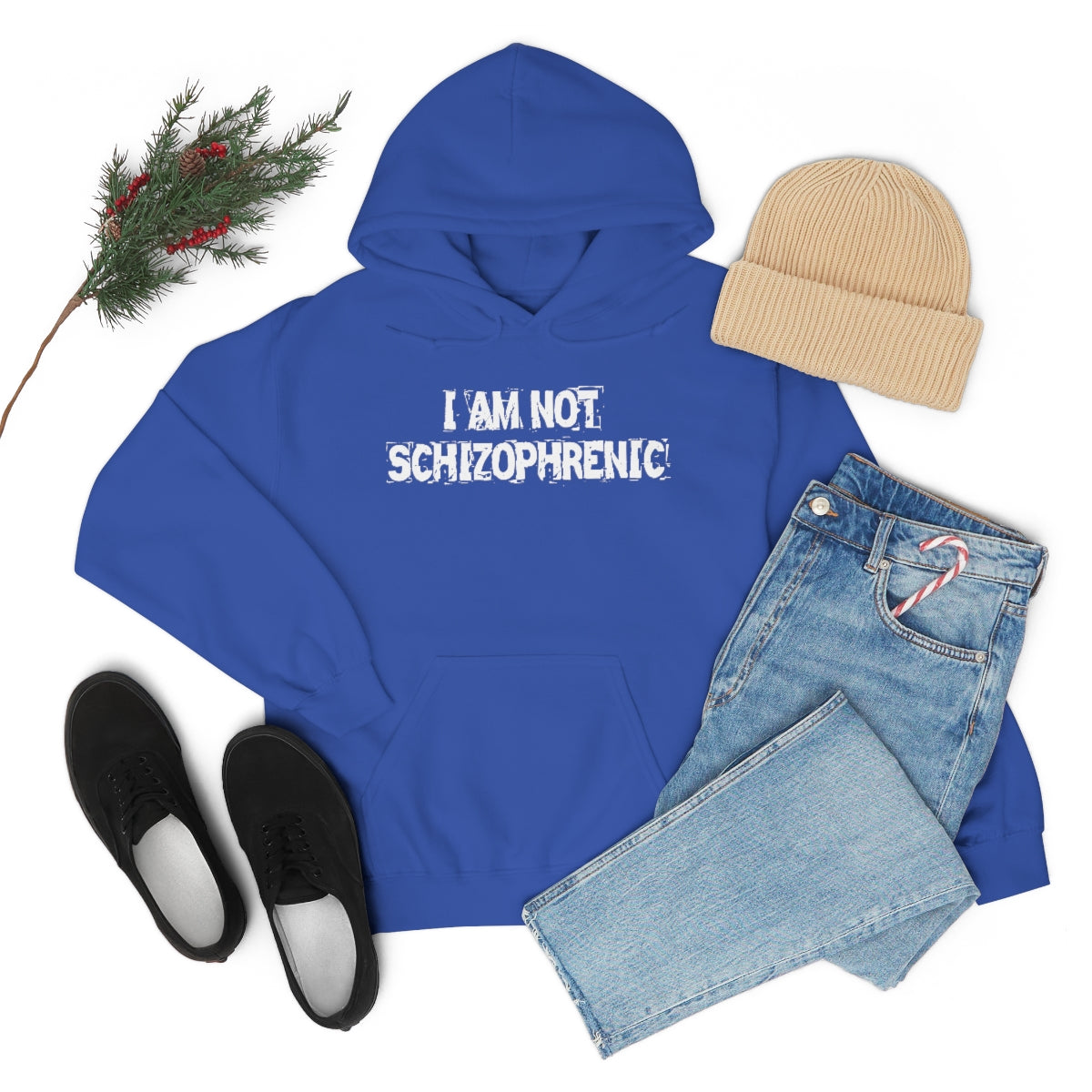 I AM NOT SCHIZOPHRENIC HOODIE