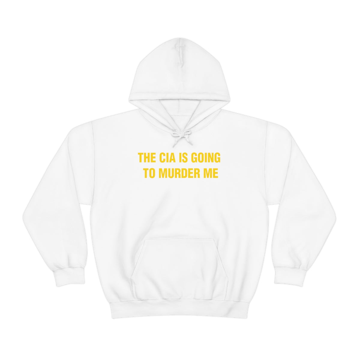 THE CIA IS GOING  TO MURDER ME HOODIE