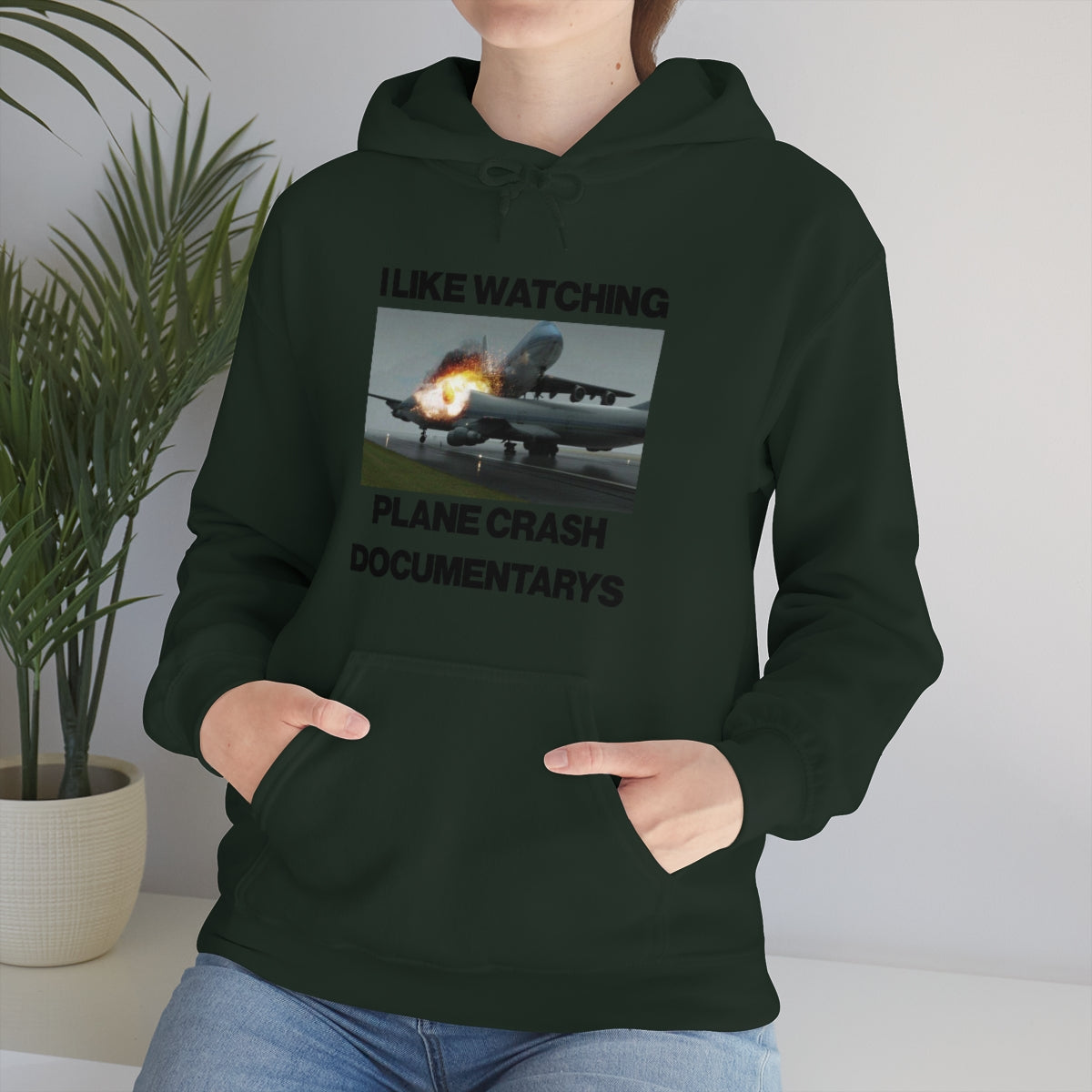 I LIKE WATCHING PLANE CRASH DOCUMENTARYS HOODIE