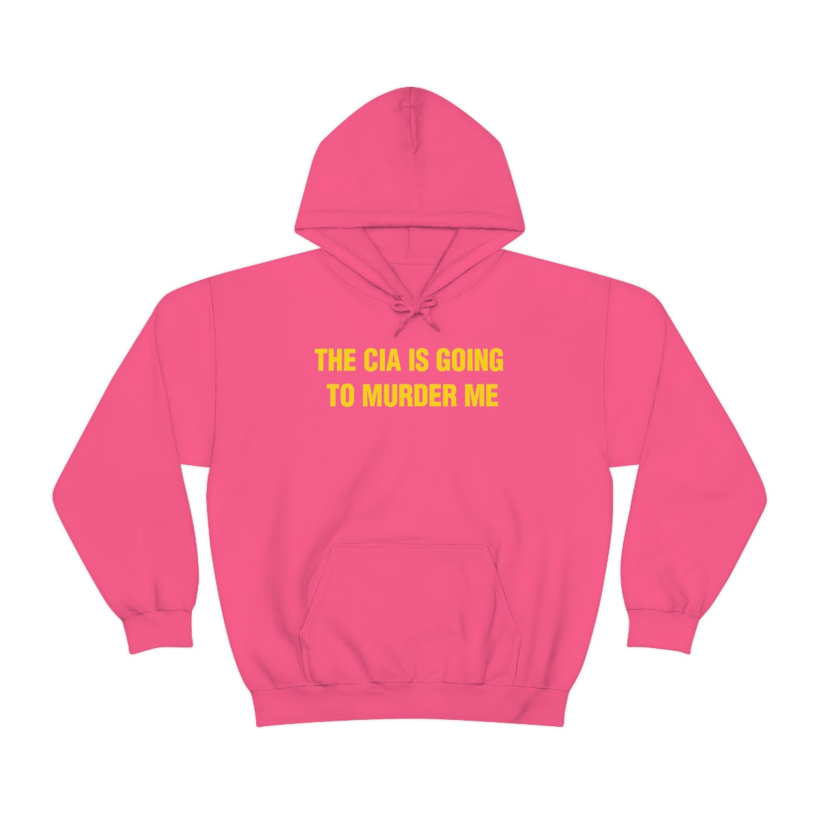 THE CIA IS GOING  TO MURDER ME HOODIE