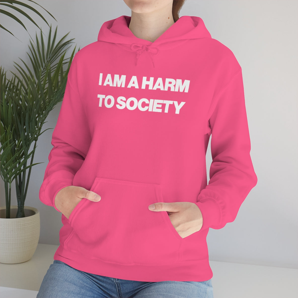 I AM A HARM TO SOCIETY HOODIE