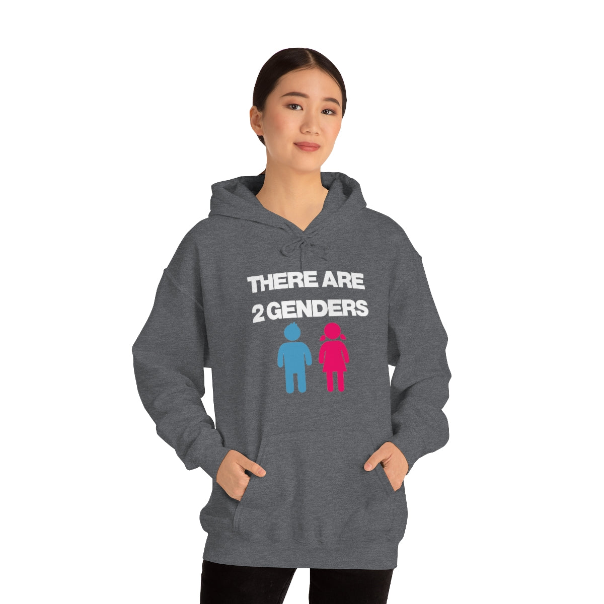 THERE ARE 2 GENDERS HOODIE