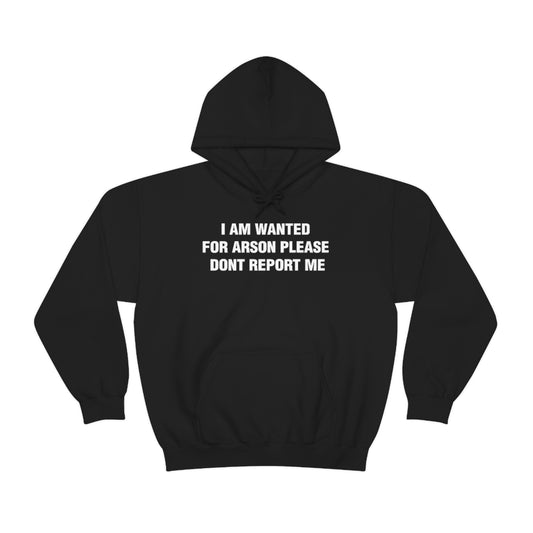 I AM WANTED  FOR ARSON PLEASE  DONT REPORT ME HOODIE