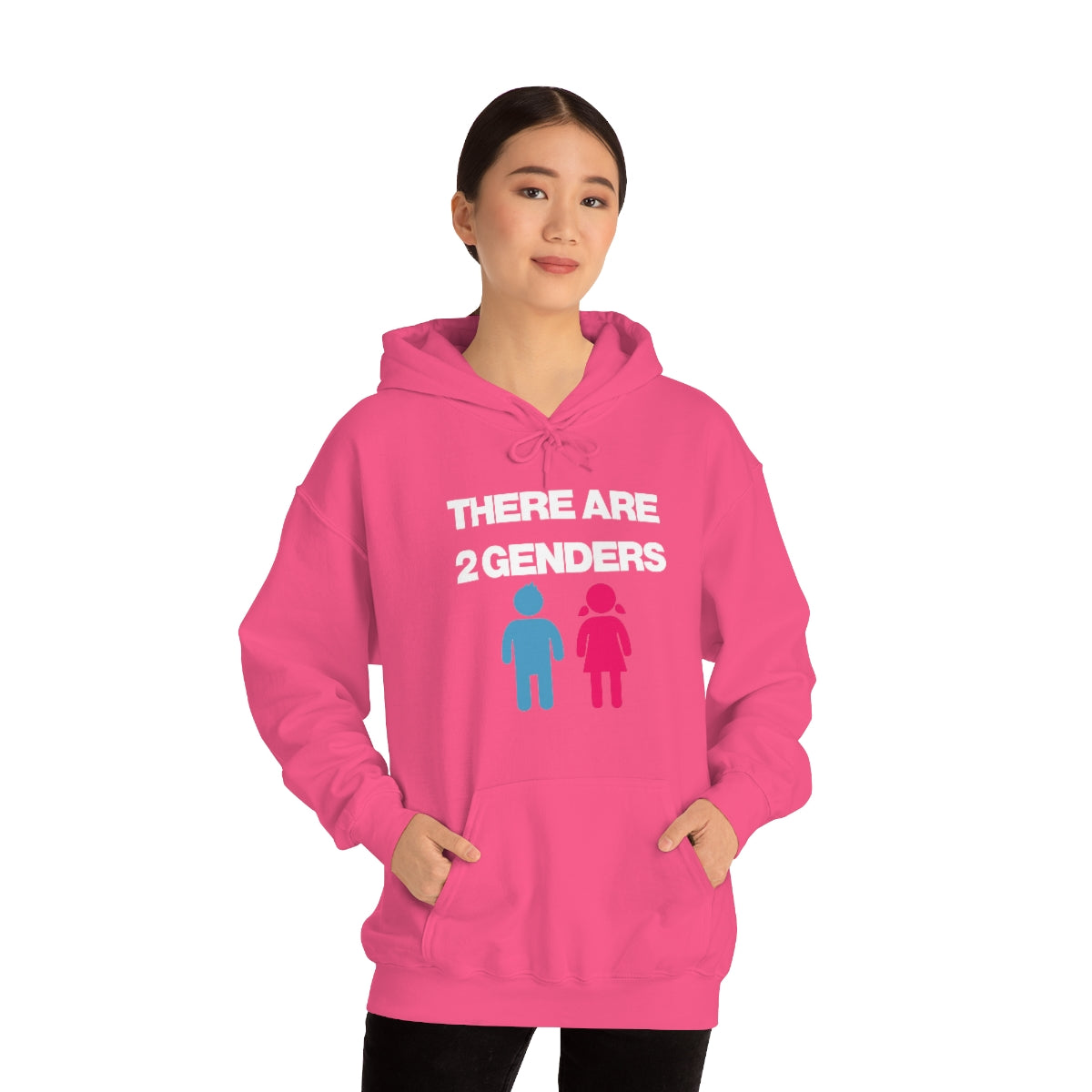 THERE ARE 2 GENDERS HOODIE