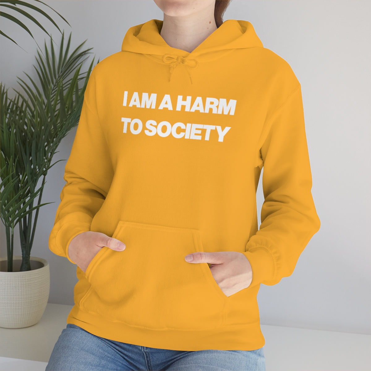 I AM A HARM TO SOCIETY HOODIE