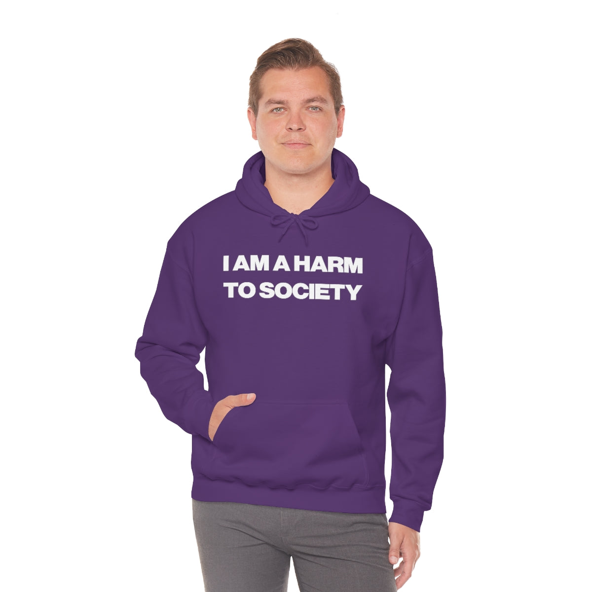 I AM A HARM TO SOCIETY HOODIE