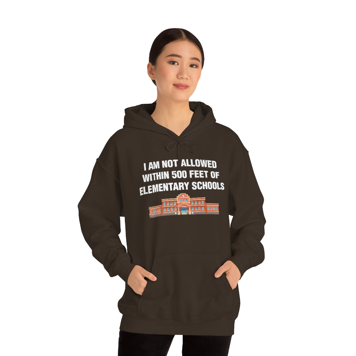 I AM NOT ALLOWED WITHIN 500 FEET OF ELEMENTARY SCHOOLS HOODIE