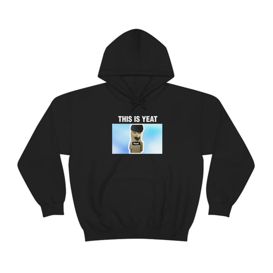 THIS IS YEAT HOODIE