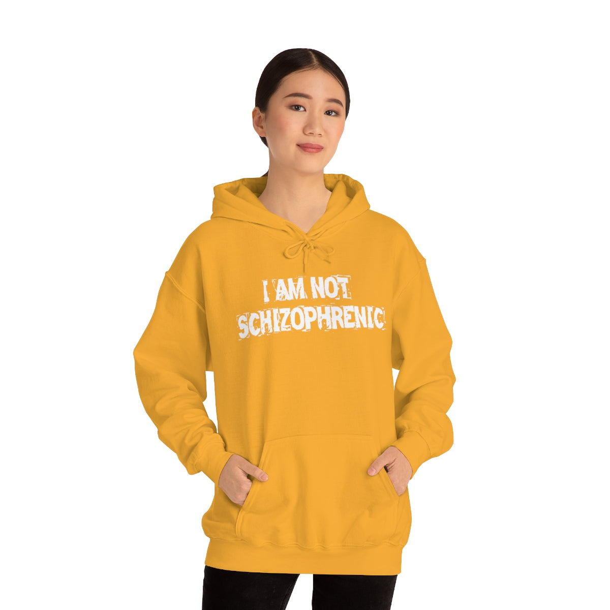 I AM NOT SCHIZOPHRENIC HOODIE