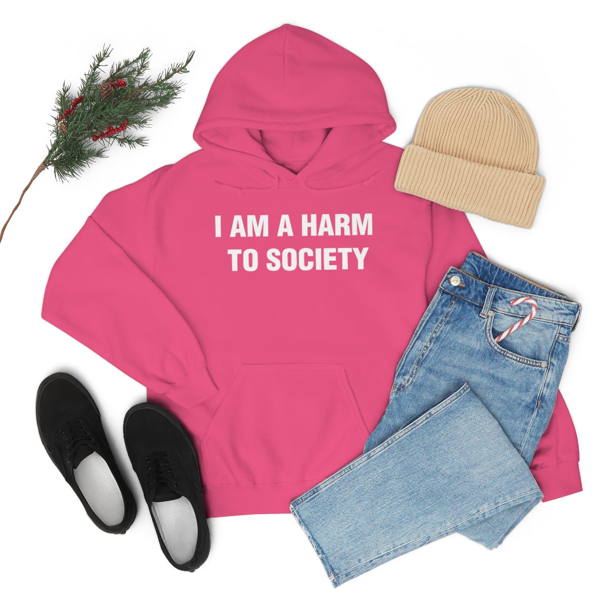 I AM A HARM  TO SOCIETY HOODIE