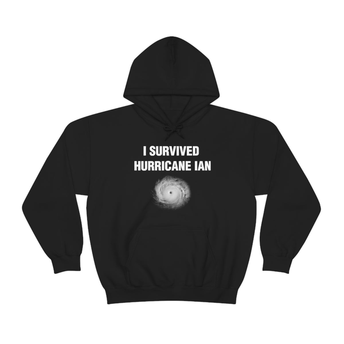 I SURVIVED HURRICANE IAN HOODIE