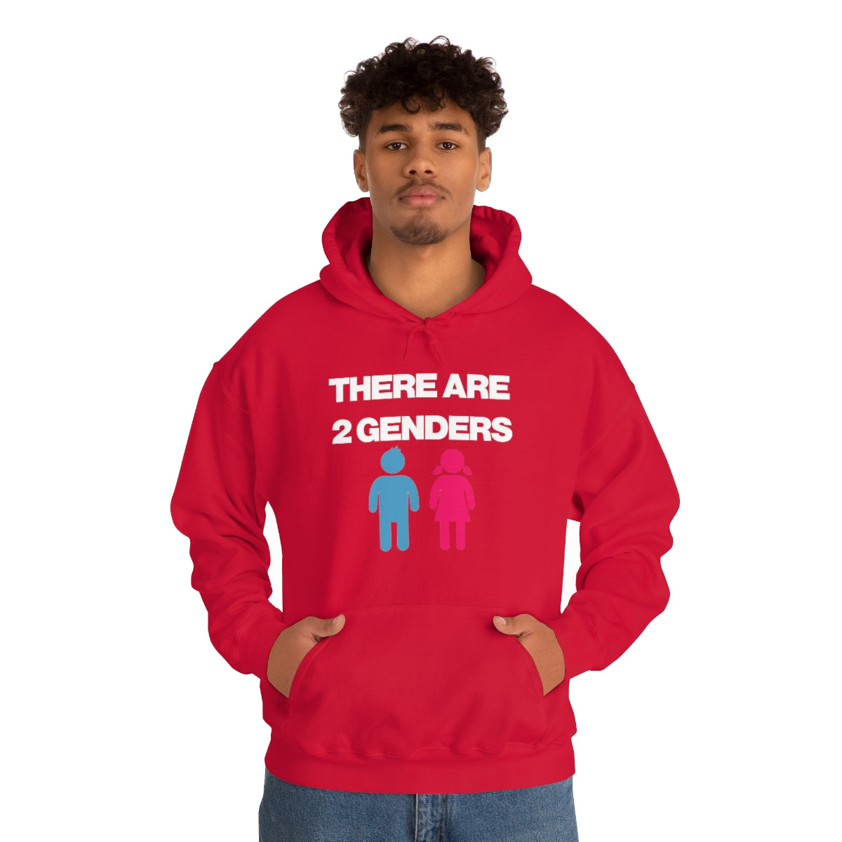 THERE ARE 2 GENDERS HOODIE