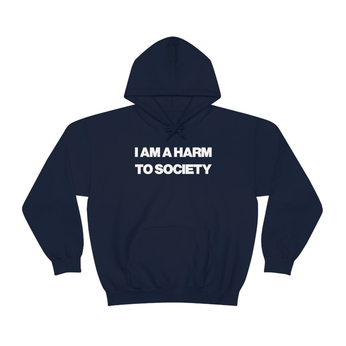 I AM A HARM TO SOCIETY HOODIE