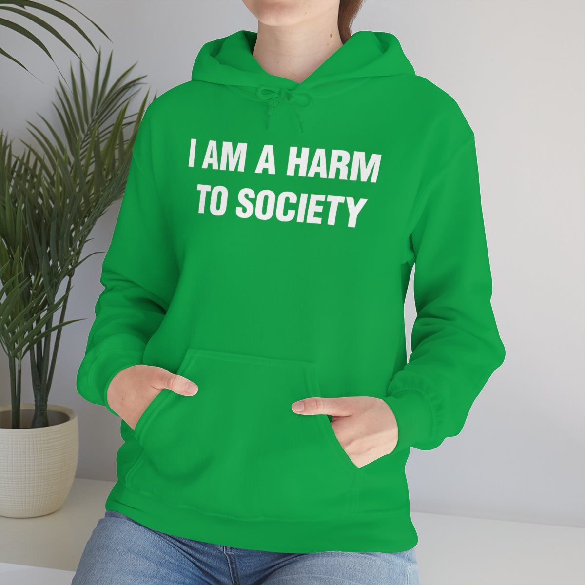 I AM A HARM  TO SOCIETY HOODIE