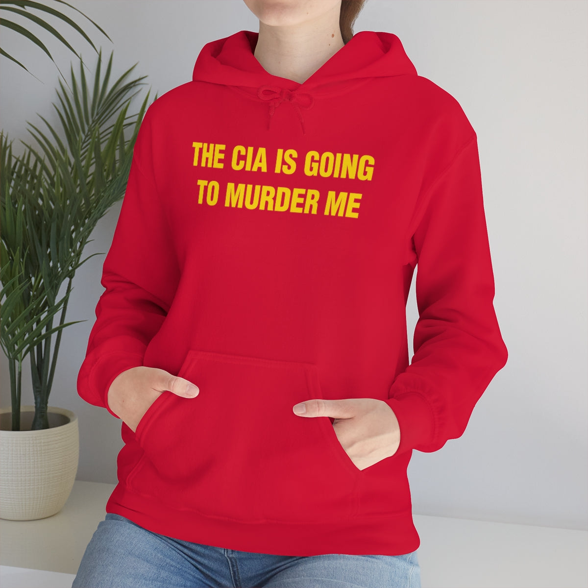 THE CIA IS GOING  TO MURDER ME HOODIE