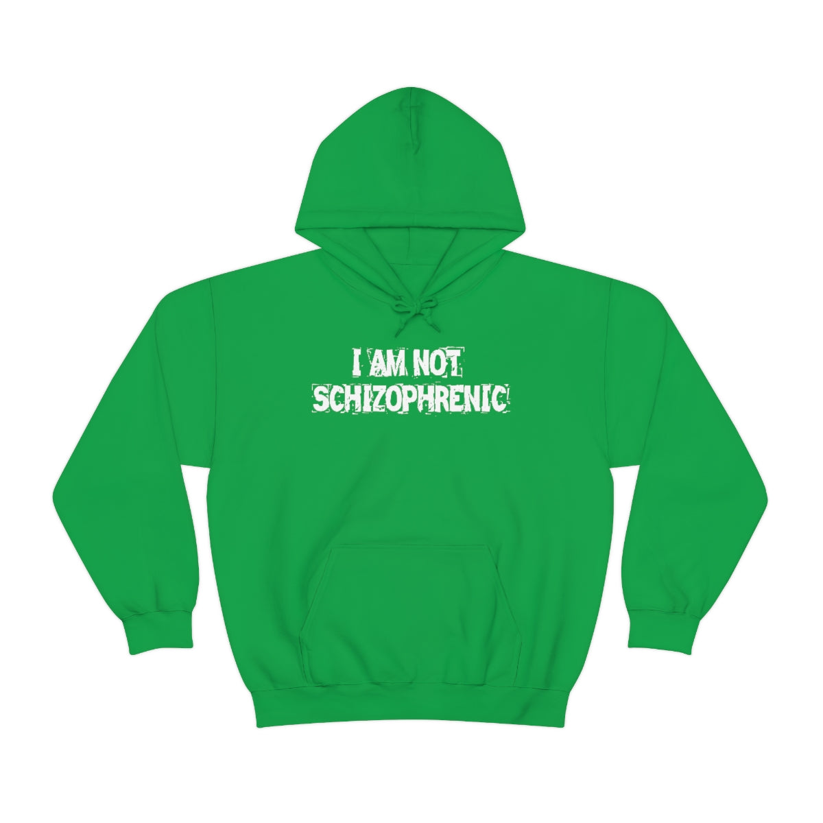 I AM NOT SCHIZOPHRENIC HOODIE