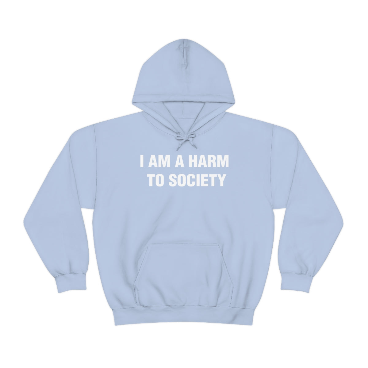 I AM A HARM  TO SOCIETY HOODIE