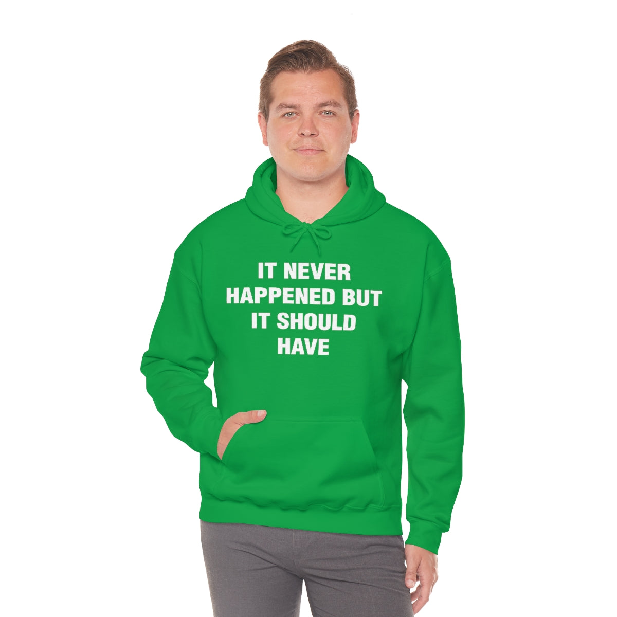 IT NEVER HAPPENED BUT IT SHOULD HAVE HOODIE