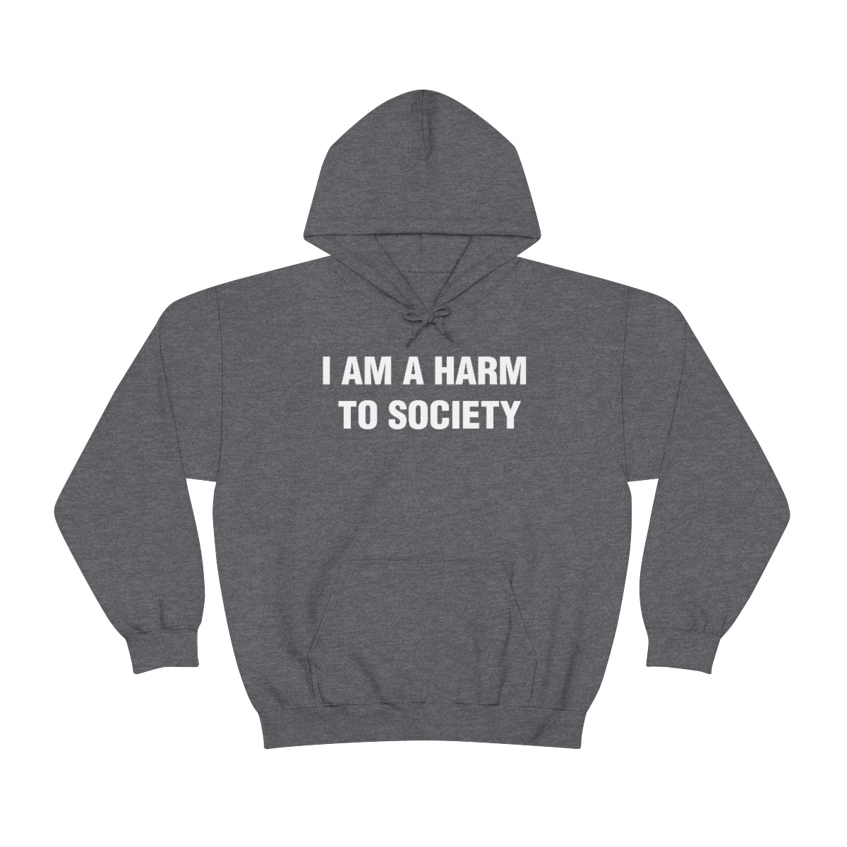 I AM A HARM  TO SOCIETY HOODIE