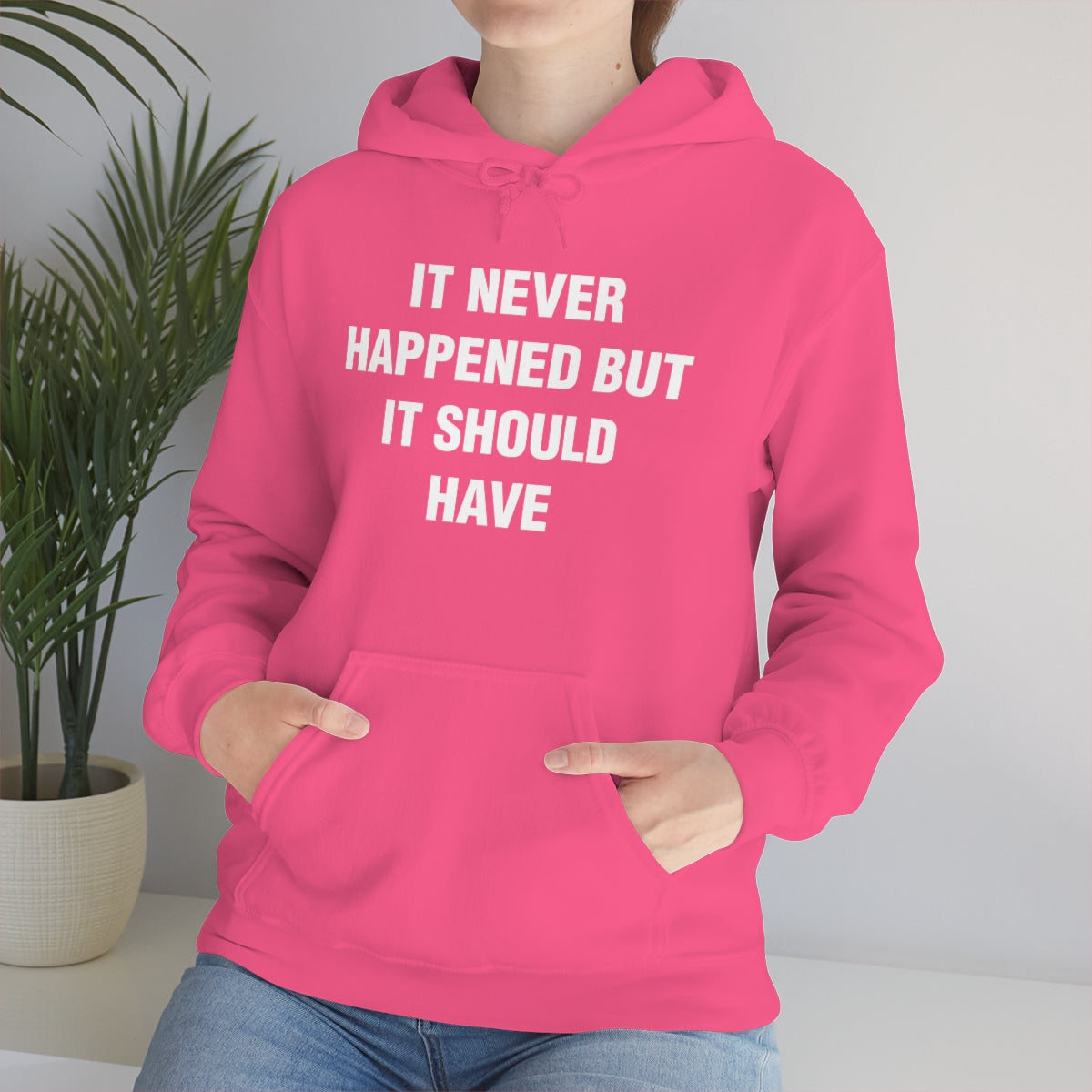 IT NEVER HAPPENED BUT IT SHOULD HAVE HOODIE