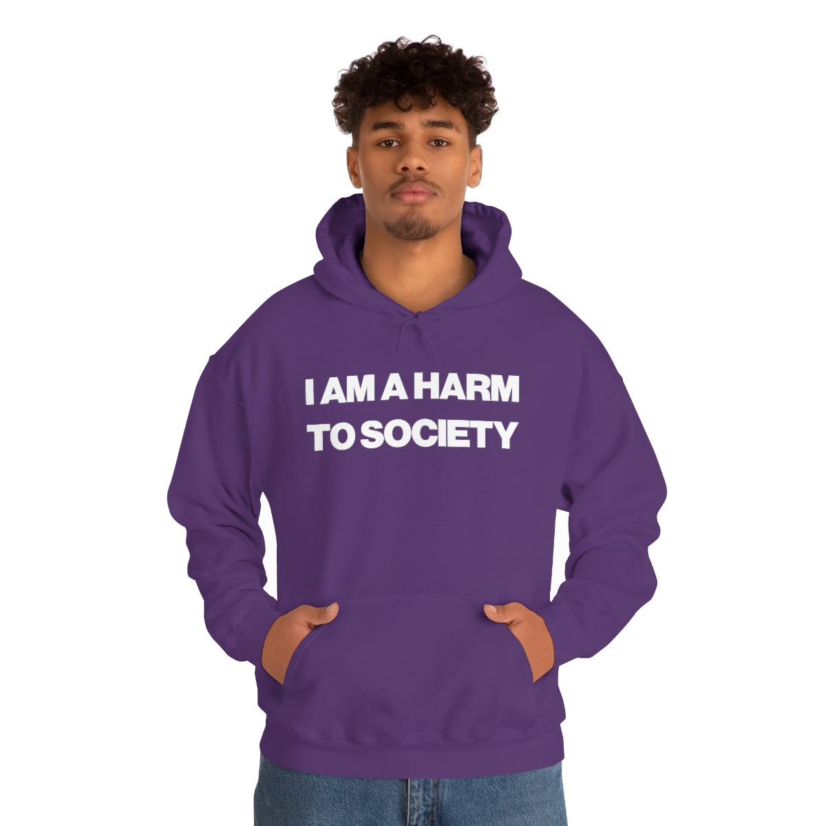 I AM A HARM TO SOCIETY HOODIE