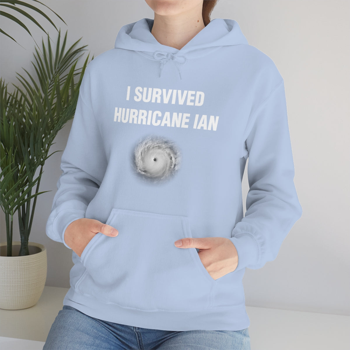 I SURVIVED HURRICANE IAN HOODIE