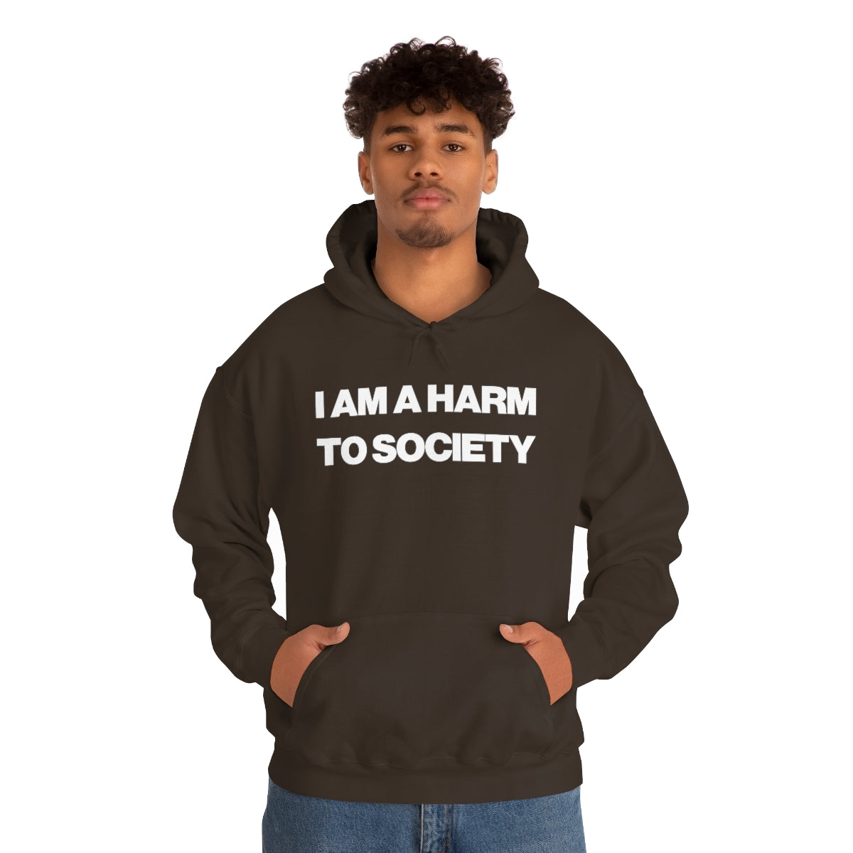 I AM A HARM TO SOCIETY HOODIE