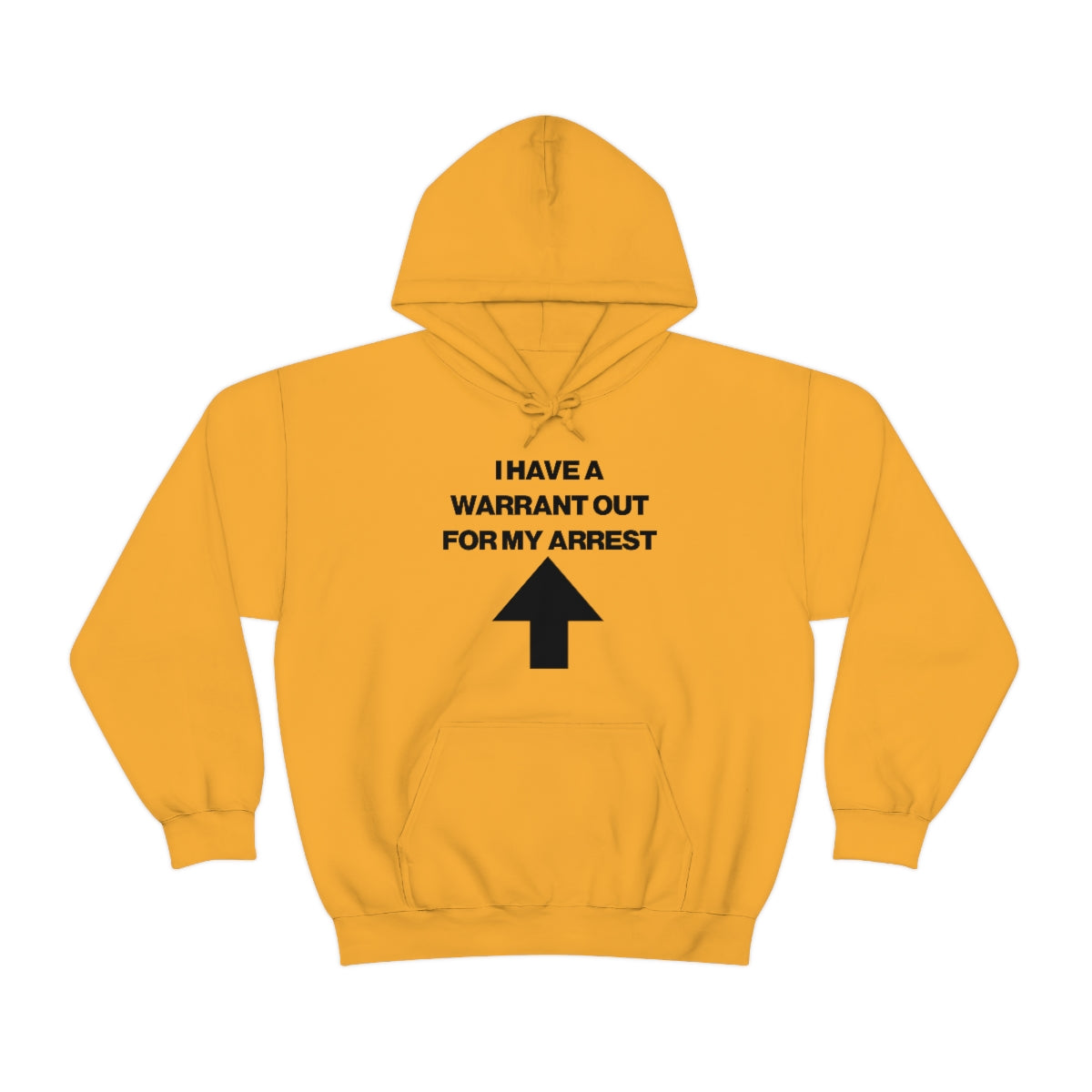 I HAVE A WARRANT OUT FOR MY ARREST HOODIE