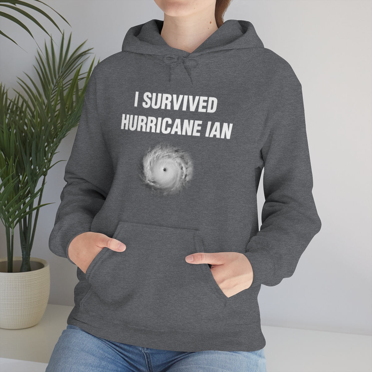 I SURVIVED HURRICANE IAN HOODIE