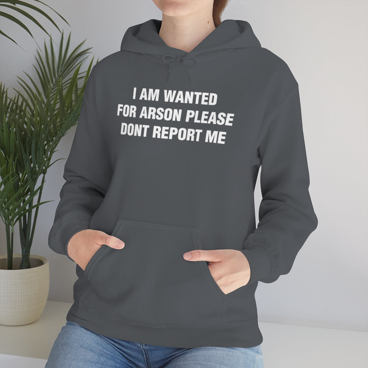 I AM WANTED  FOR ARSON PLEASE  DONT REPORT ME HOODIE