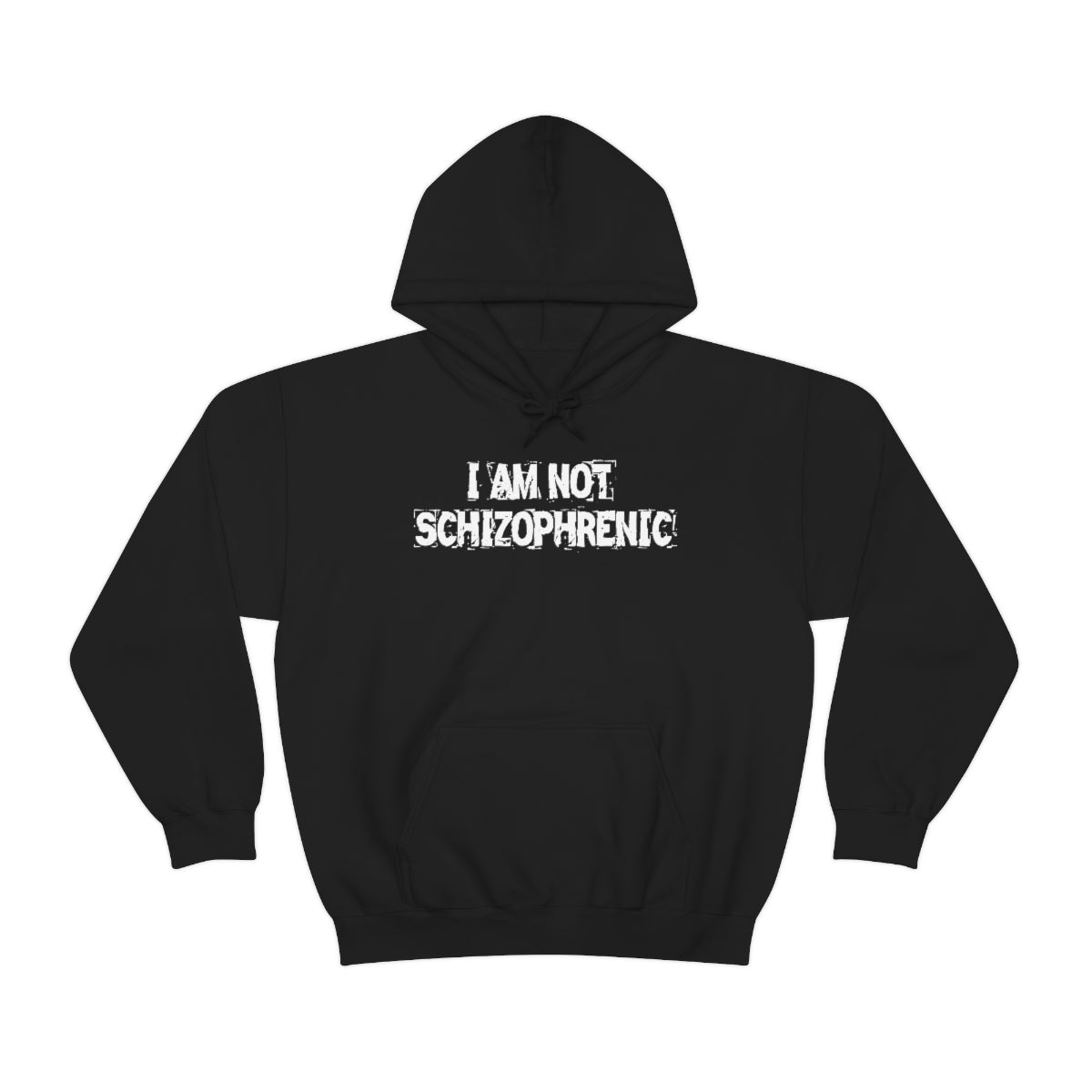 I AM NOT SCHIZOPHRENIC HOODIE