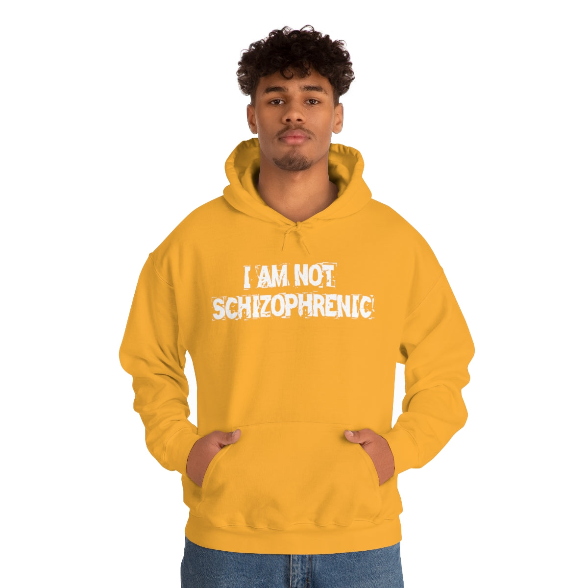 I AM NOT SCHIZOPHRENIC HOODIE