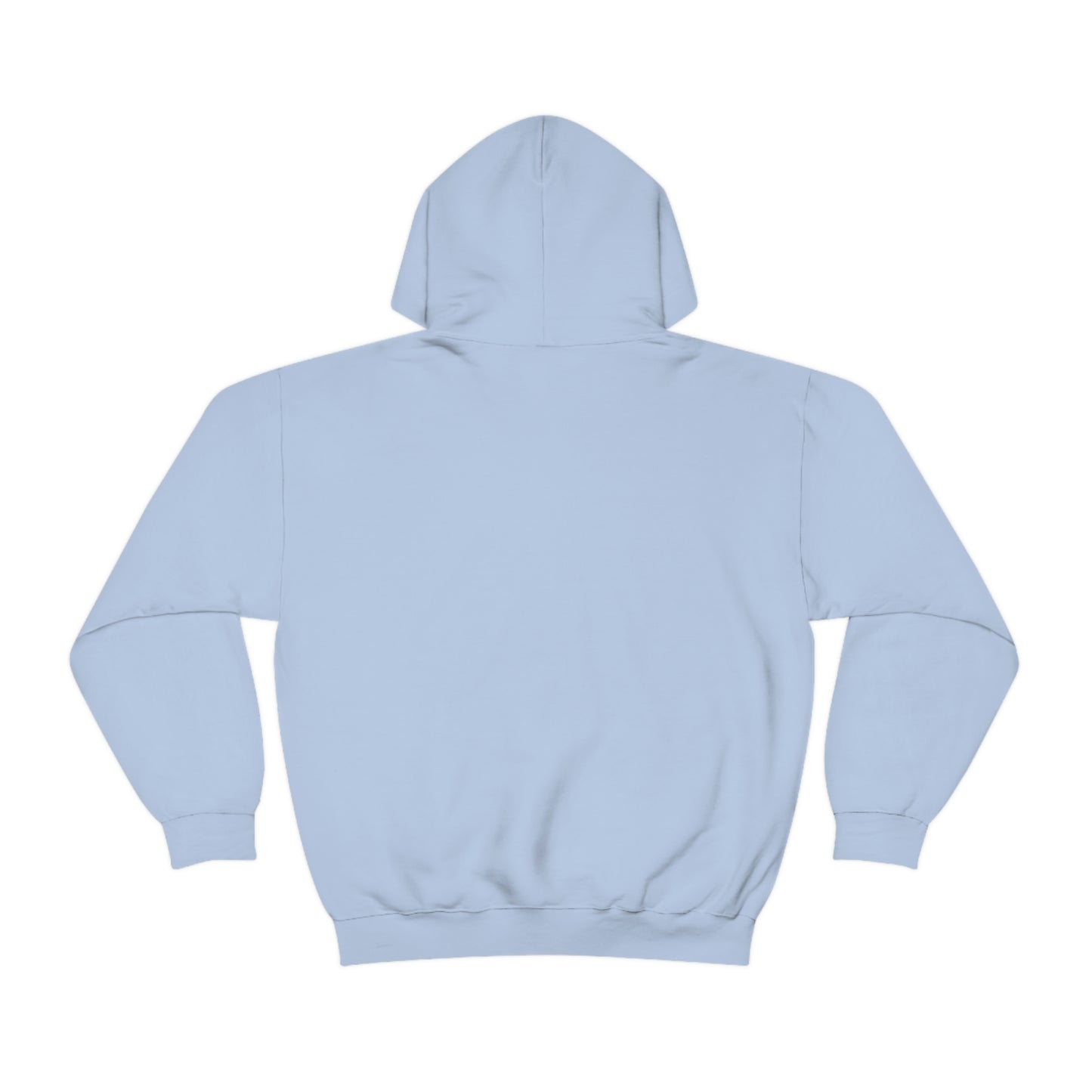 $20 IS $20 HOODIE