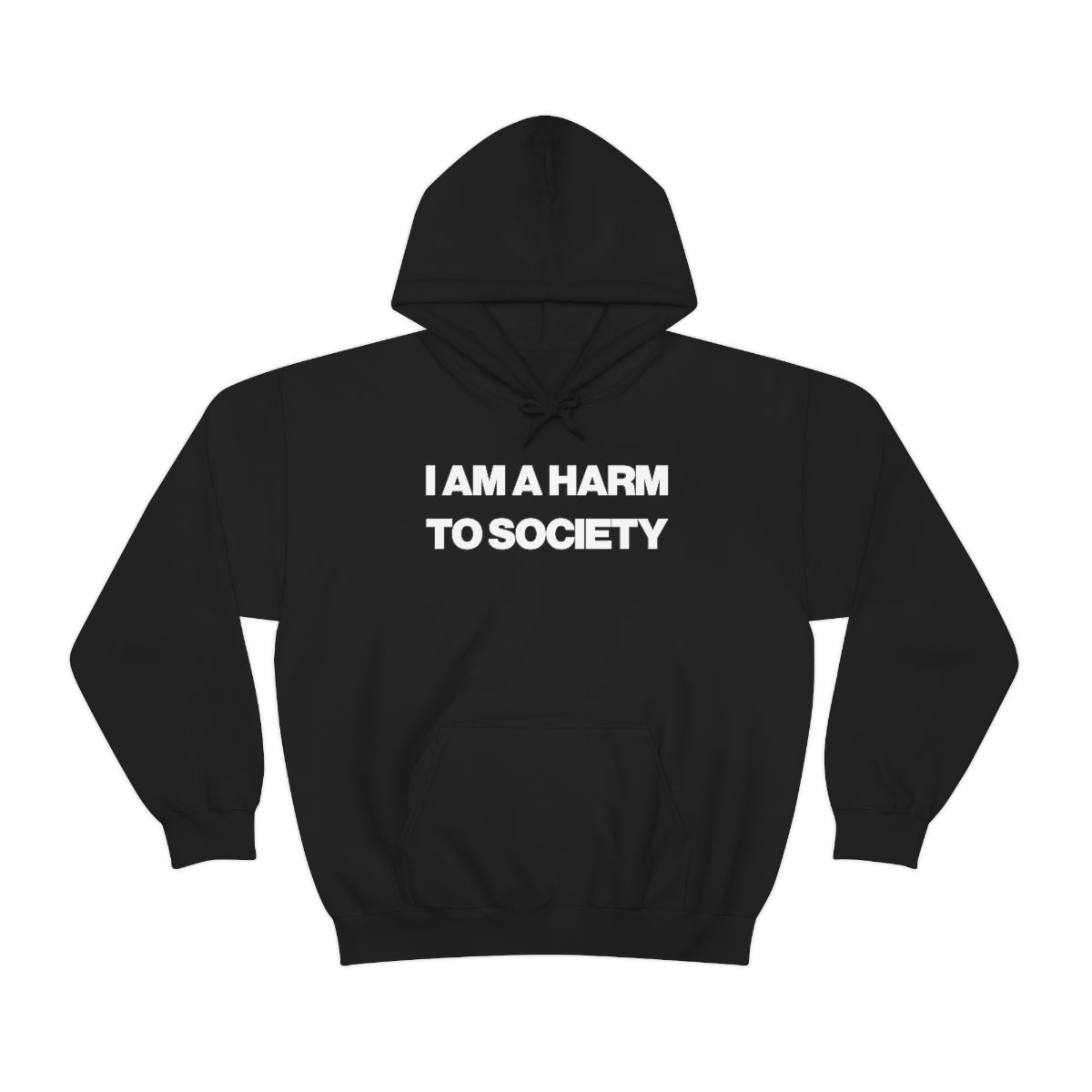 I AM A HARM TO SOCIETY HOODIE