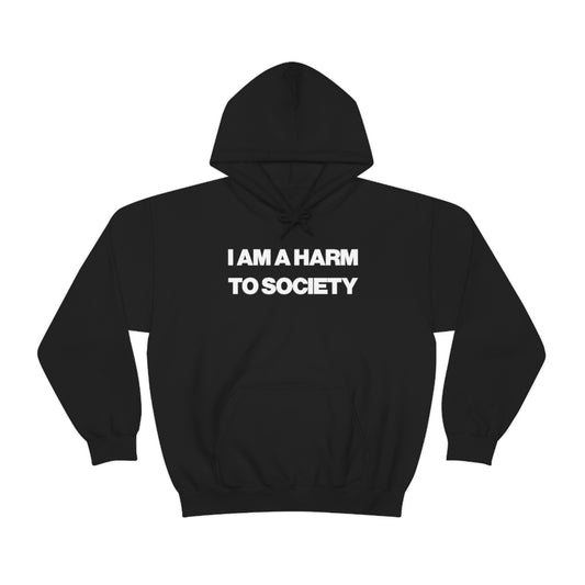 I AM A HARM TO SOCIETY HOODIE