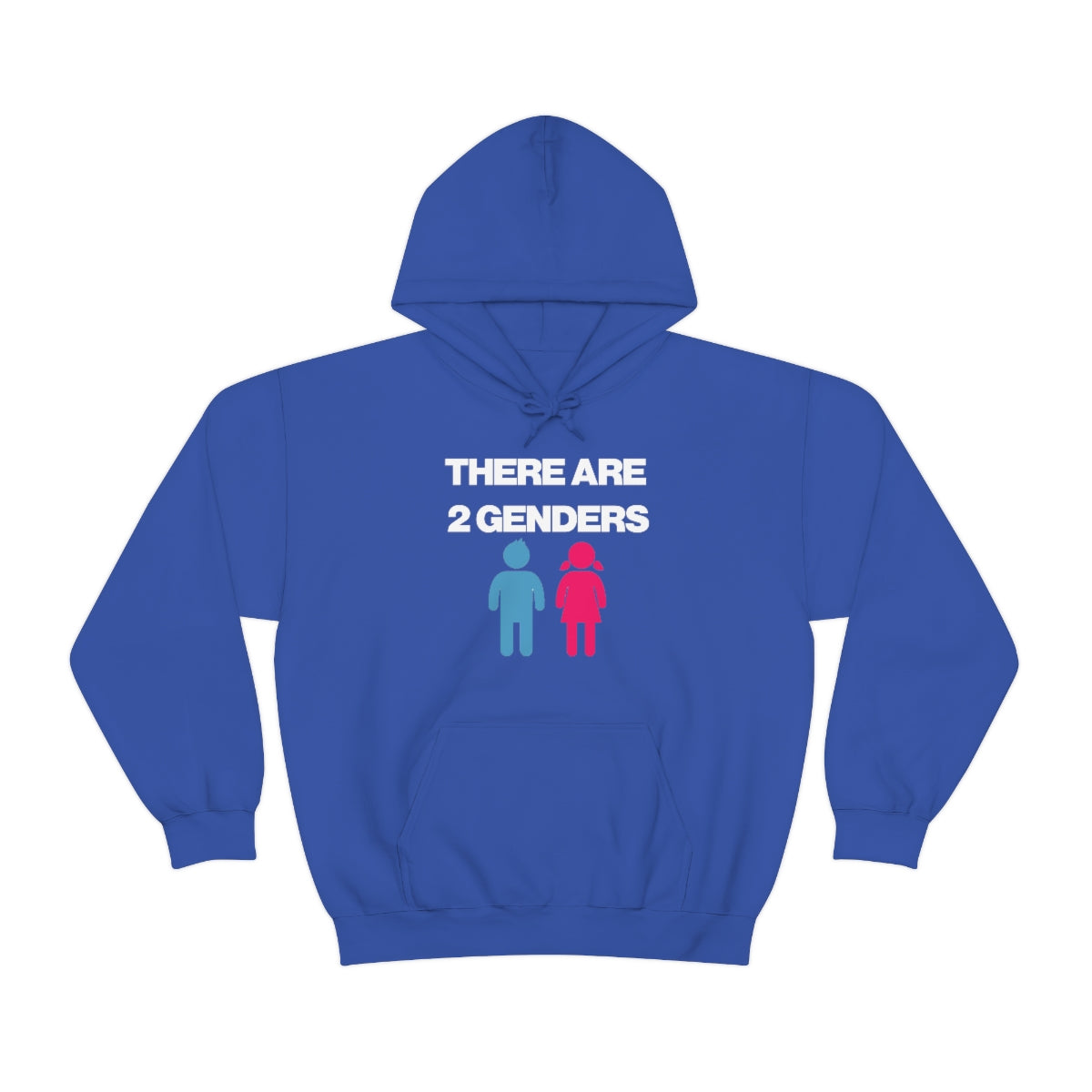 THERE ARE 2 GENDERS HOODIE