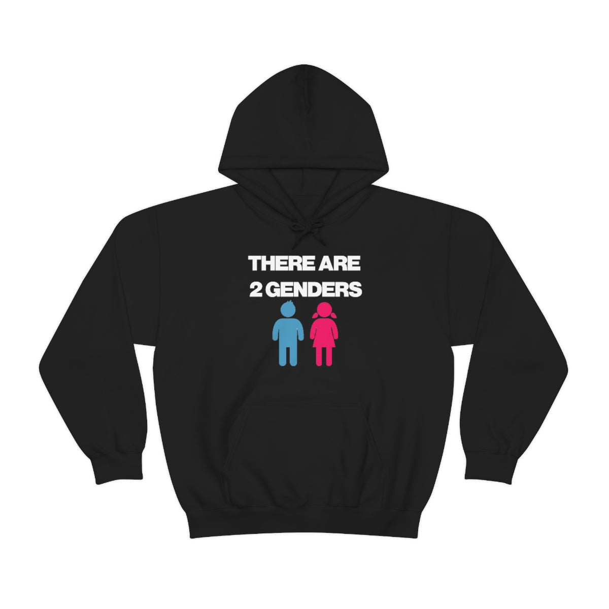 THERE ARE 2 GENDERS HOODIE