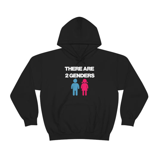 THERE ARE 2 GENDERS HOODIE