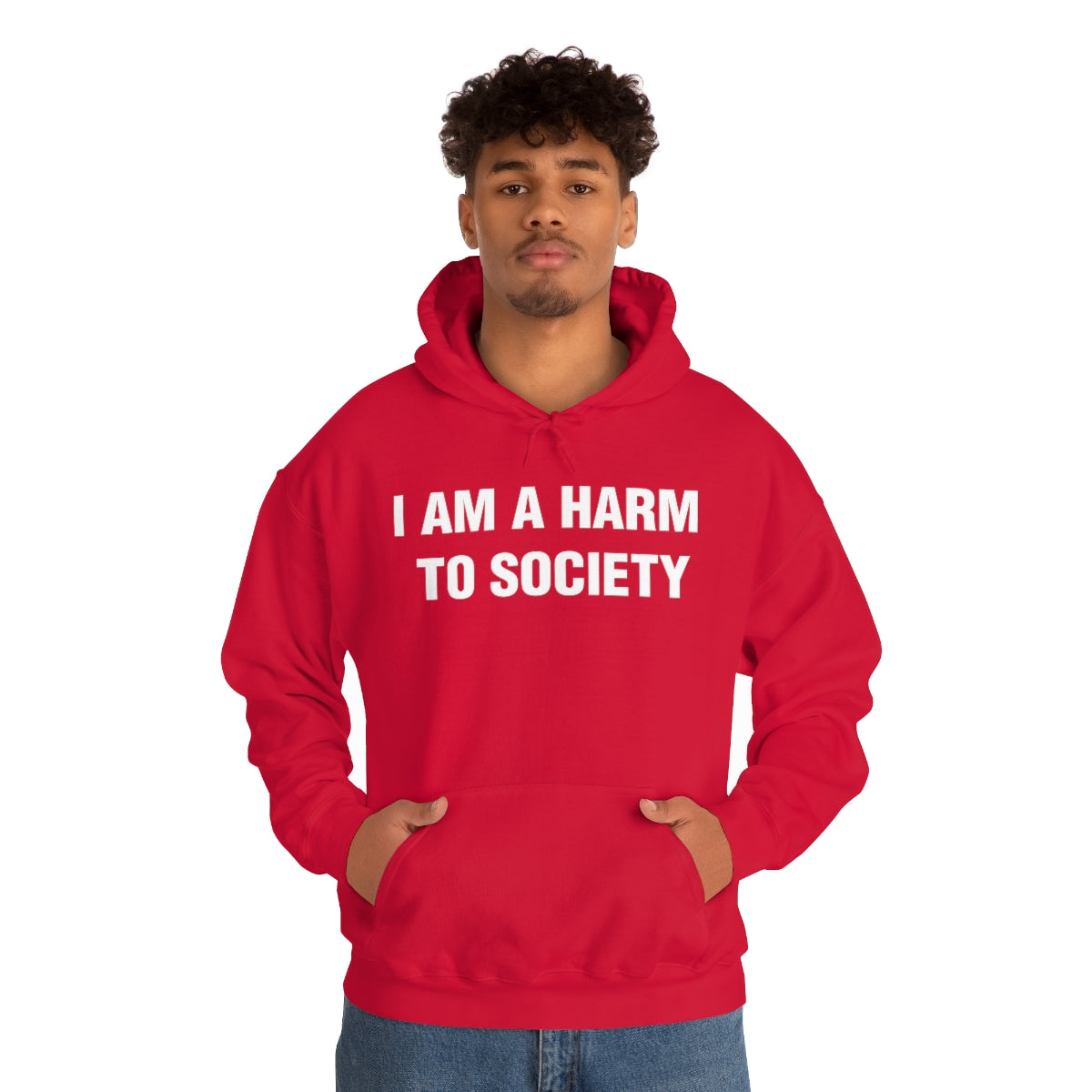 I AM A HARM  TO SOCIETY HOODIE