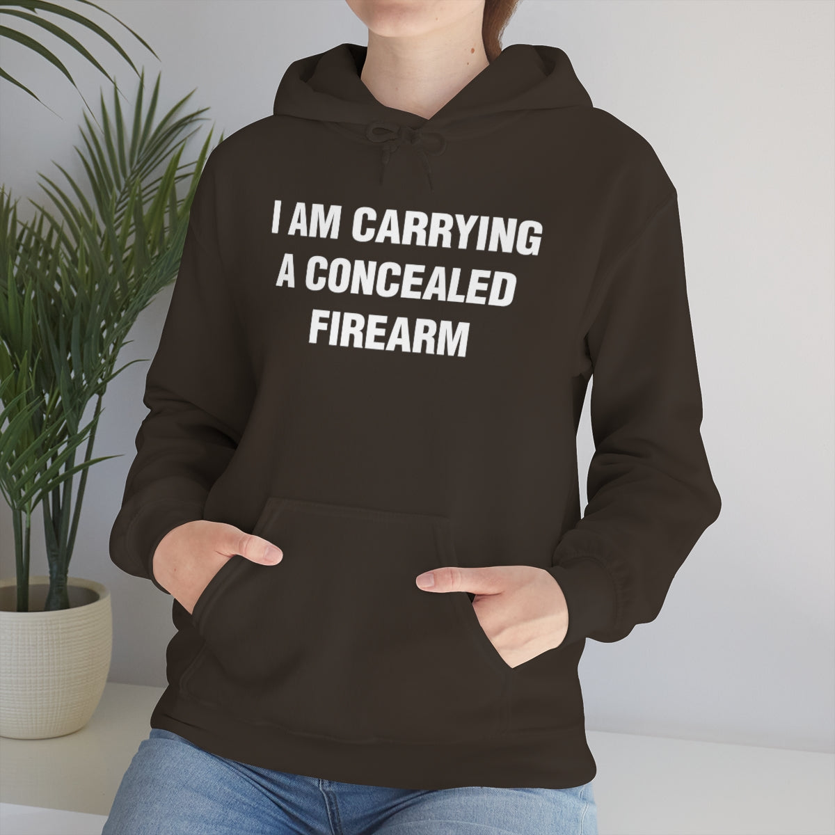 I AM CARRYING A CONCEALED FIREARM HOODIE