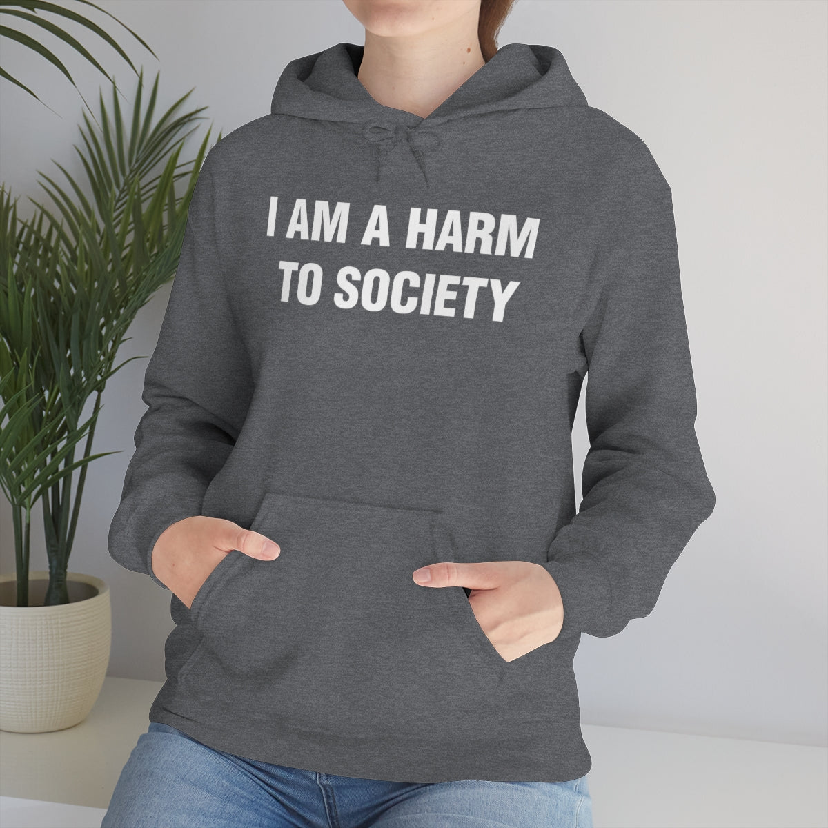 I AM A HARM  TO SOCIETY HOODIE