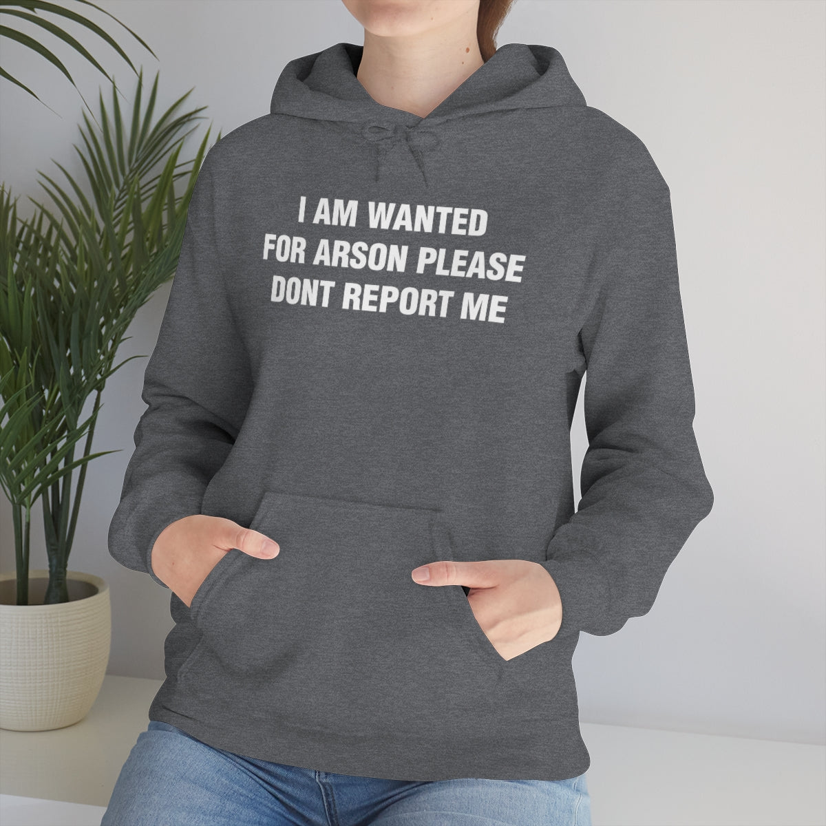 I AM WANTED  FOR ARSON PLEASE  DONT REPORT ME HOODIE