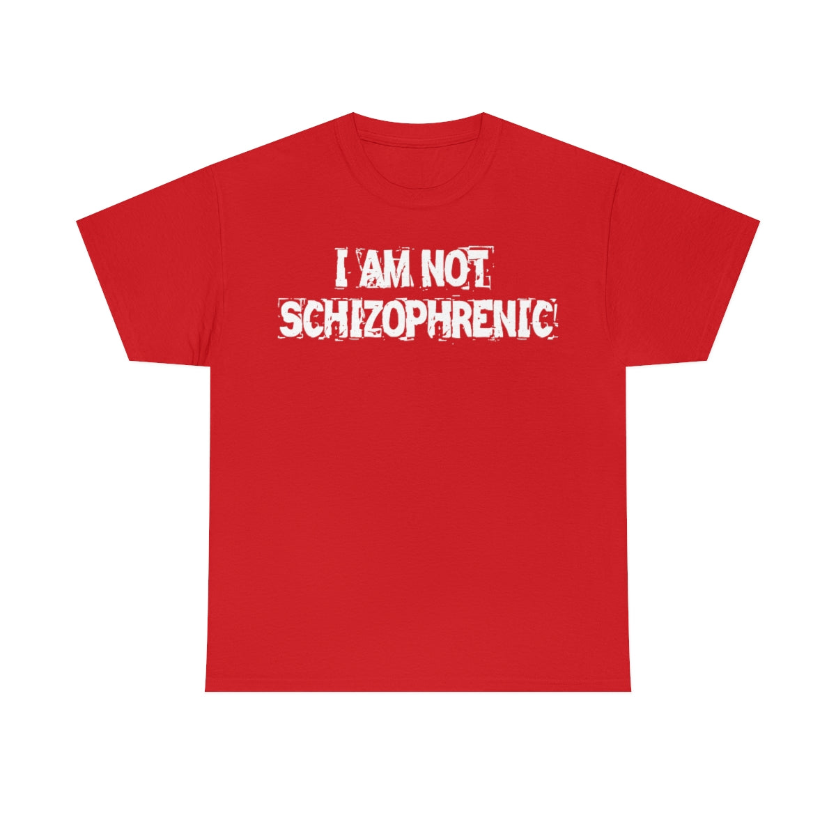 I AM NOT SCHIZOPHRENIC TEE