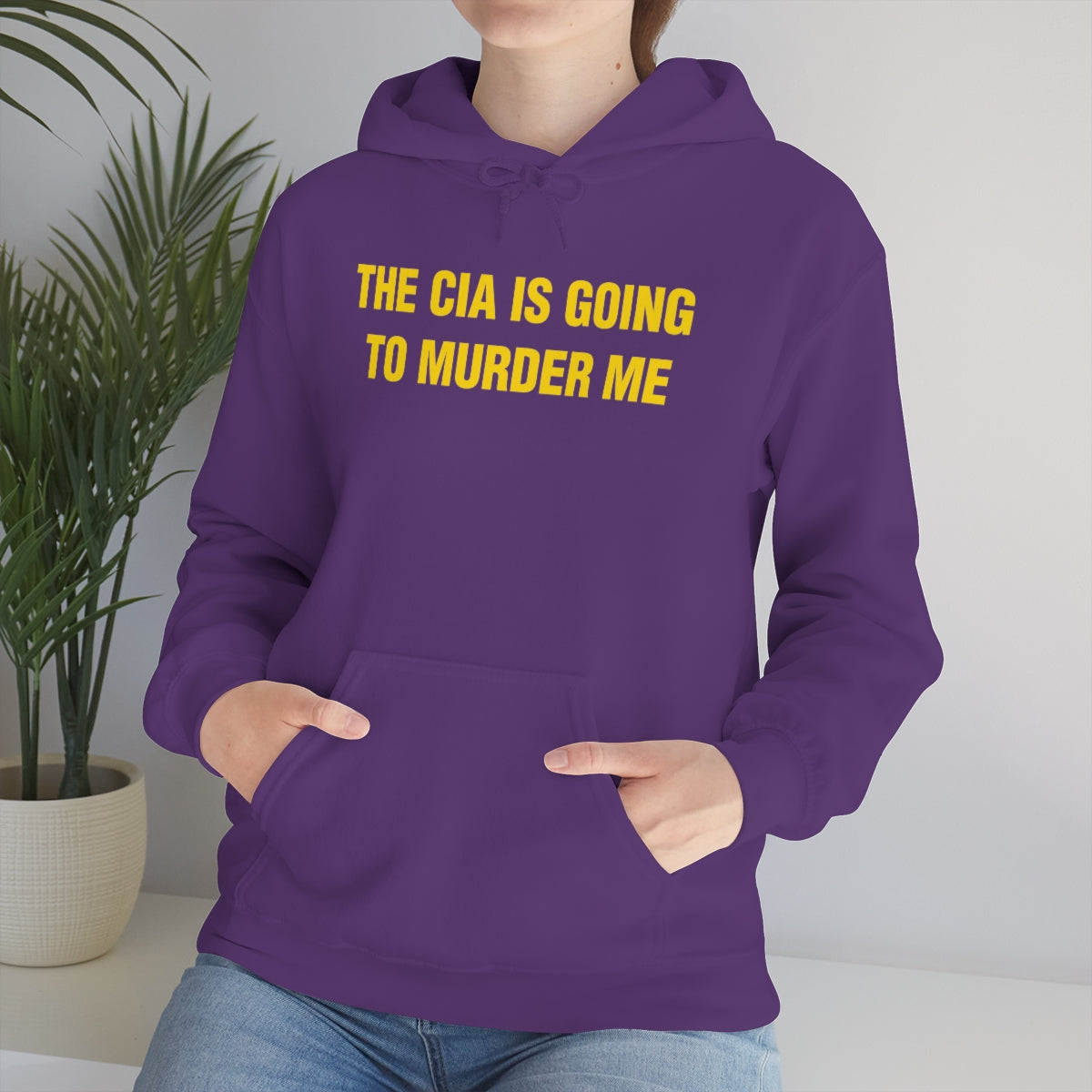 THE CIA IS GOING  TO MURDER ME HOODIE