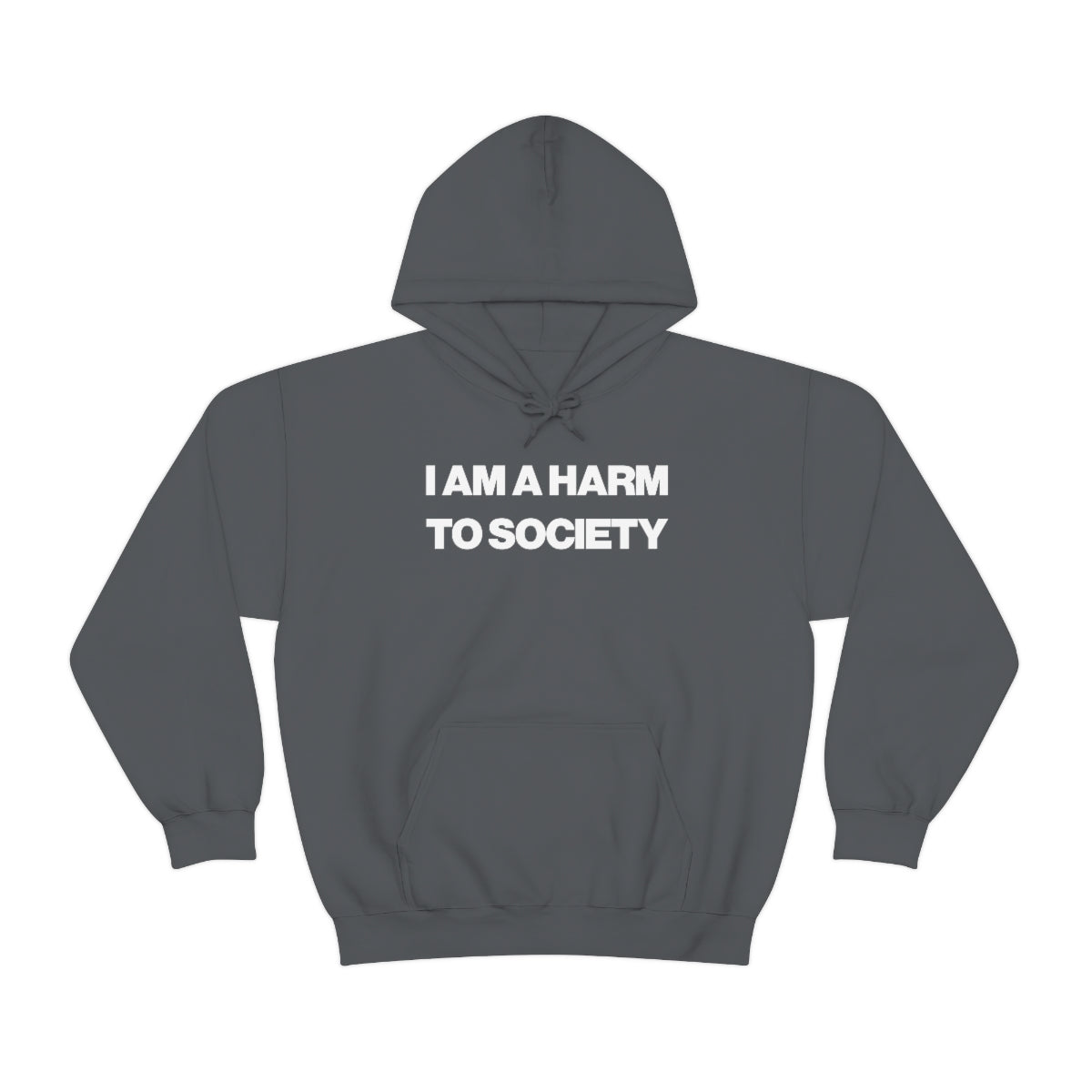 I AM A HARM TO SOCIETY HOODIE