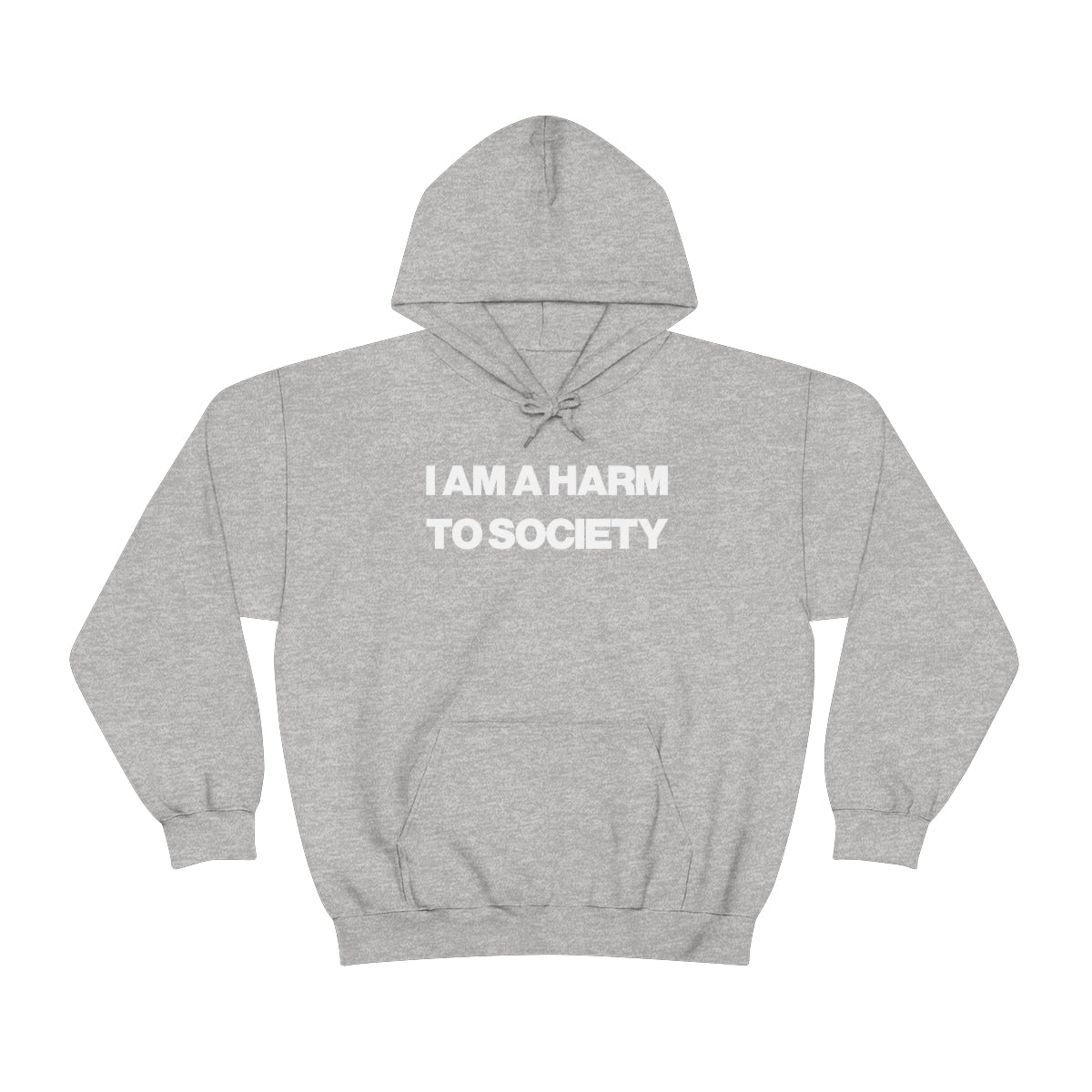 I AM A HARM TO SOCIETY HOODIE