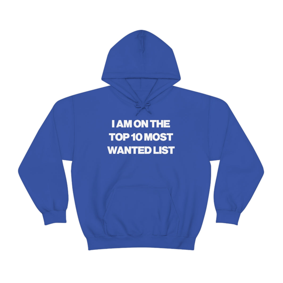 I AM ON THE TOP 10 MOST WANTED LIST HOODIE